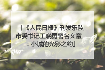 《人民日报》刊发乐陵市委书记王晓勇署名文章：小城的光影之约
