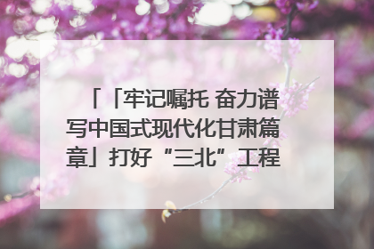 「牢记嘱托 奋力谱写中国式现代化甘肃篇章」打好“三北”工程攻坚战 筑牢国家西部生态安全屏障
