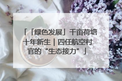 「绿色发展」千亩荷塘 十年新生｜四任航空村官的“生态接力”