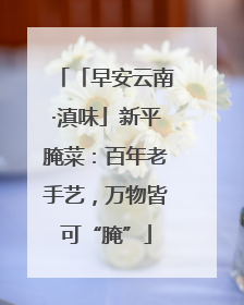 「早安云南·滇味」新平腌菜：百年老手艺，万物皆可“腌”
