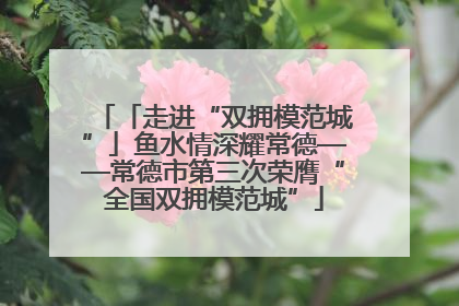 「走进“双拥模范城”」鱼水情深耀常德——常德市第三次荣膺“全国双拥模范城”