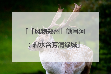 「风物郑州」熊耳河:碧水含芳润绿城