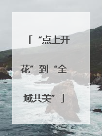 “点上开花”到“全域共美”