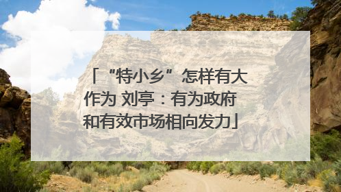 “特小乡”怎样有大作为 刘亭：有为政府和有效市场相向发力