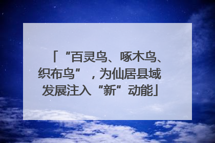“百灵鸟、啄木鸟、织布鸟”，为仙居县域发展注入“新”动能