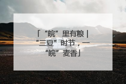 “皖”里有粮｜“三夏”时节，一“皖”麦香