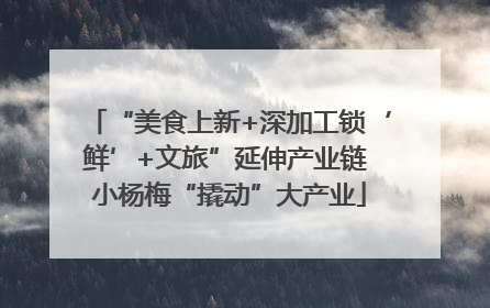 “美食上新+深加工锁‘鲜’+文旅”延伸产业链 小杨梅“撬动”大产业