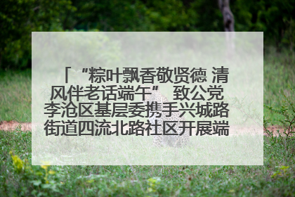 “粽叶飘香敬贤德 清风伴老话端午” 致公党李沧区基层委携手兴城路街道四流北路社区开展端午节主题活动