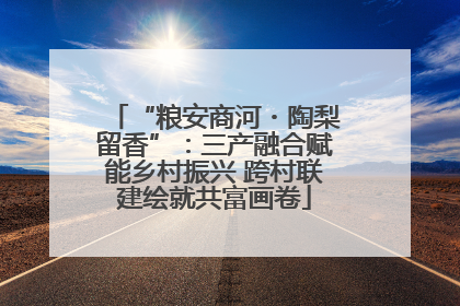 “粮安商河・陶梨留香”：三产融合赋能乡村振兴 跨村联建绘就共富画卷