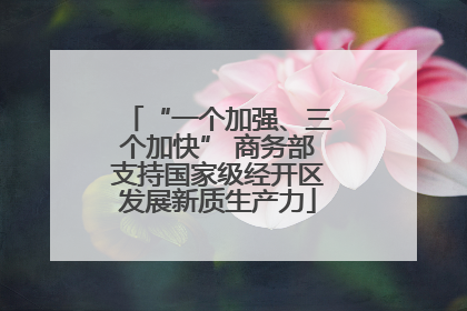 “一个加强、三个加快” 商务部支持国家级经开区发展新质生产力