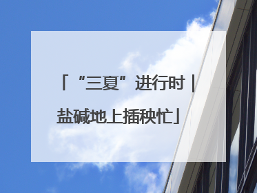 “三夏”进行时｜盐碱地上插秧忙