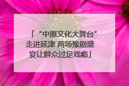 “中原文化大舞台”走进延津 两场豫剧盛宴让群众过足戏瘾