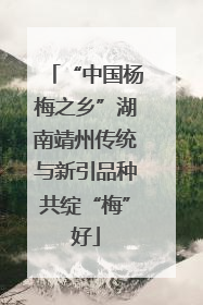 “中国杨梅之乡”湖南靖州传统与新引品种共绽“梅”好