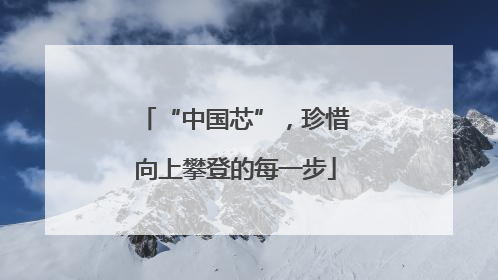 “中国芯”，珍惜向上攀登的每一步