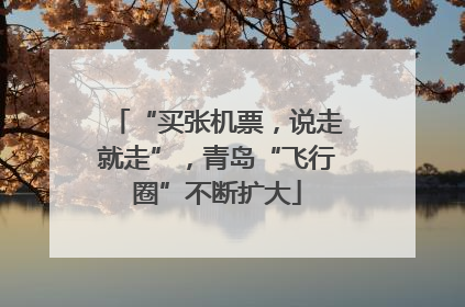 “买张机票，说走就走”，青岛“飞行圈”不断扩大