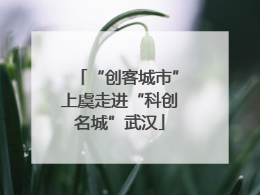 “创客城市”上虞走进“科创名城”武汉