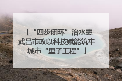 “四步闭环”治水患 武昌市政以科技赋能筑牢城市“里子工程”