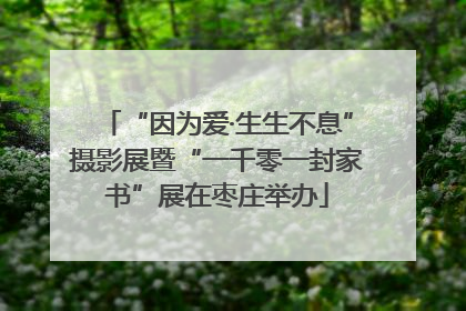 “因为爱·生生不息”摄影展暨“一千零一封家书”展在枣庄举办