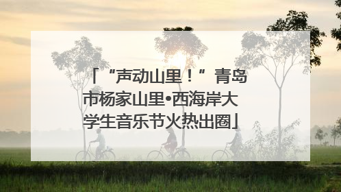 “声动山里！”青岛市杨家山里•西海岸大学生音乐节火热出圈