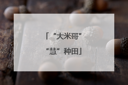 “大米哥”“慧”种田