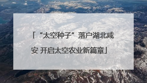 “太空种子”落户湖北咸安 开启太空农业新篇章