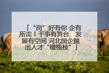 “岗”好有你 企有所需丨干事有舞台、发展有空间 河北国企抛出人才“橄榄枝”