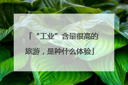 “工业”含量很高的旅游，是种什么体验