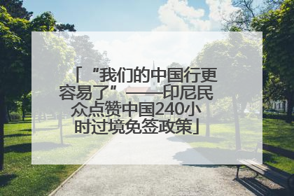 “我们的中国行更容易了”——印尼民众点赞中国240小时过境免签政策