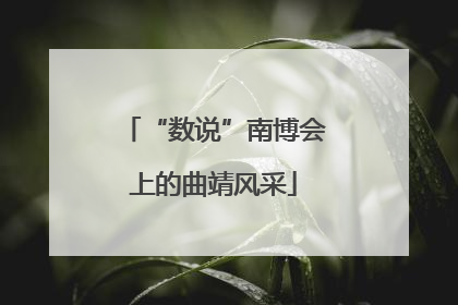 “数说”南博会上的曲靖风采