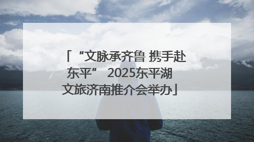 “文脉承齐鲁 携手赴东平” 2025东平湖文旅济南推介会举办