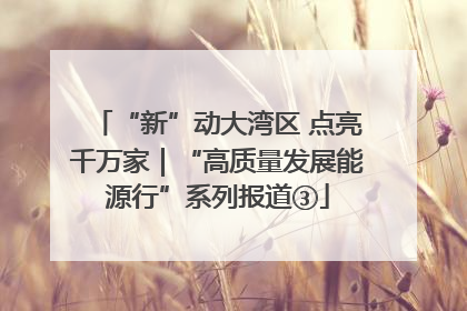 “新”动大湾区 点亮千万家｜“高质量发展能源行”系列报道③