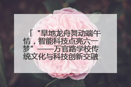 “旱地龙舟舞动端午情，智能科技点亮六一梦”——万官路学校传统文化与科技创新交融的精彩盛宴