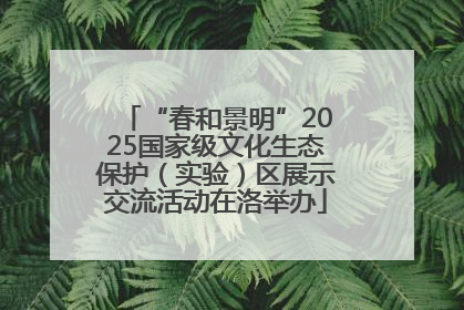 “春和景明”2025国家级文化生态保护（实验）区展示交流活动在洛举办
