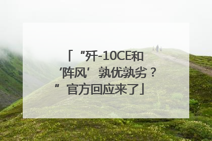 “歼-10CE和‘阵风’孰优孰劣？”官方回应来了