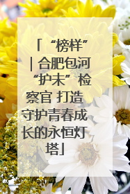 “榜样”｜合肥包河“护未”检察官 打造守护青春成长的永恒灯塔