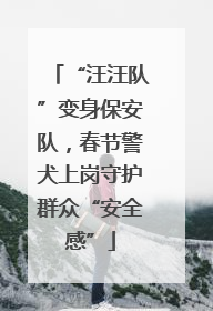 “汪汪队”变身保安队，春节警犬上岗守护群众“安全感”