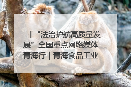 “法治护航高质量发展”全国重点网络媒体青海行｜青海食品工业协会：架起“青字号”美食的产业化桥梁