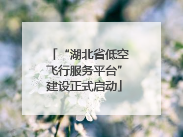 “湖北省低空飞行服务平台”建设正式启动