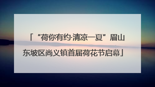 “荷你有约·清凉一夏”眉山东坡区尚义镇首届荷花节启幕