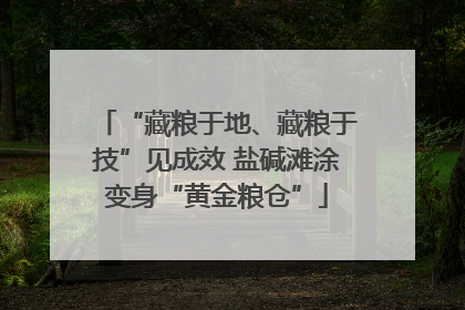 “藏粮于地、藏粮于技”见成效 盐碱滩涂变身“黄金粮仓”