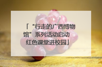 “行走的广西博物馆”系列活动启动 红色课堂进校园
