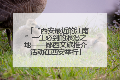 “西安最近的江南”一生必到的浪漫之地——郧西文旅推介活动在西安举行