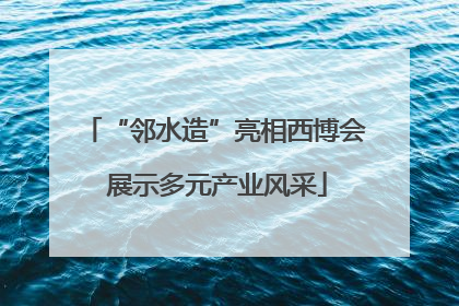 “邻水造”亮相西博会 展示多元产业风采