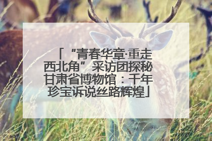 “青春华章·重走西北角”采访团探秘甘肃省博物馆：千年珍宝诉说丝路辉煌