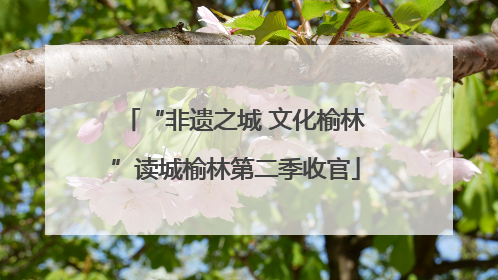 “非遗之城 文化榆林”读城榆林第二季收官