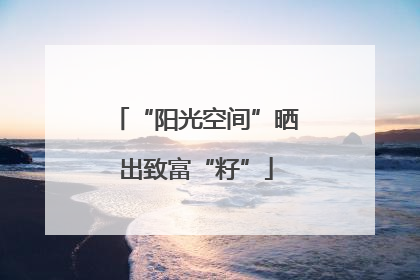 “阳光空间”晒出致富“籽”