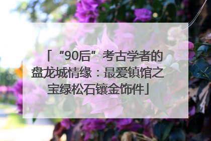 “90后”考古学者的盘龙城情缘：最爱镇馆之宝绿松石镶金饰件