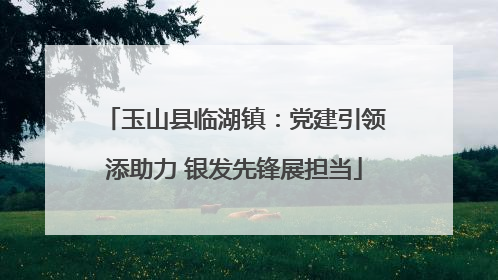 玉山县临湖镇：党建引领添助力 银发先锋展担当