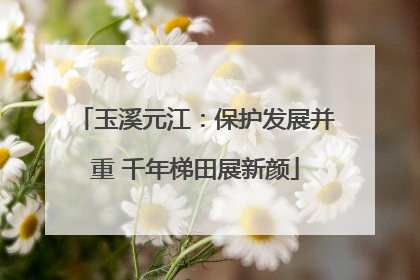 玉溪元江：保护发展并重 千年梯田展新颜