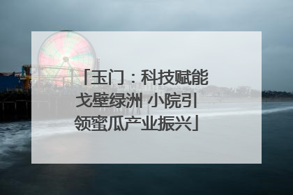 玉门：科技赋能戈壁绿洲 小院引领蜜瓜产业振兴